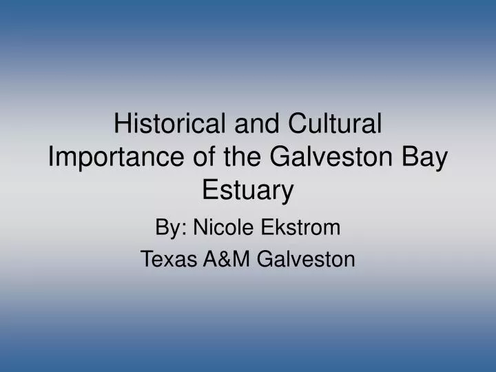 historical and cultural importance of the galveston bay estuary