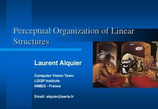 Perceptual Organization of Linear Structures
