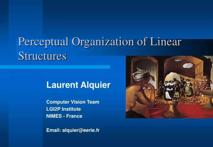 perceptual organization of linear structures