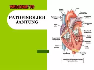 patofisiologi jantung