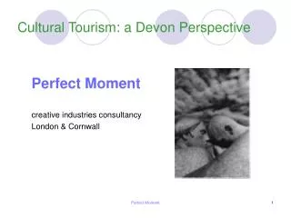 Cultural Tourism: a Devon Perspective