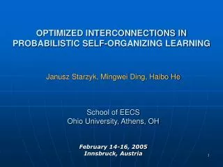 OPTIMIZED INTERCONNECTIONS IN PROBABILISTIC SELF-ORGANIZING LEARNING