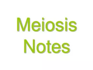 Meiosis Notes