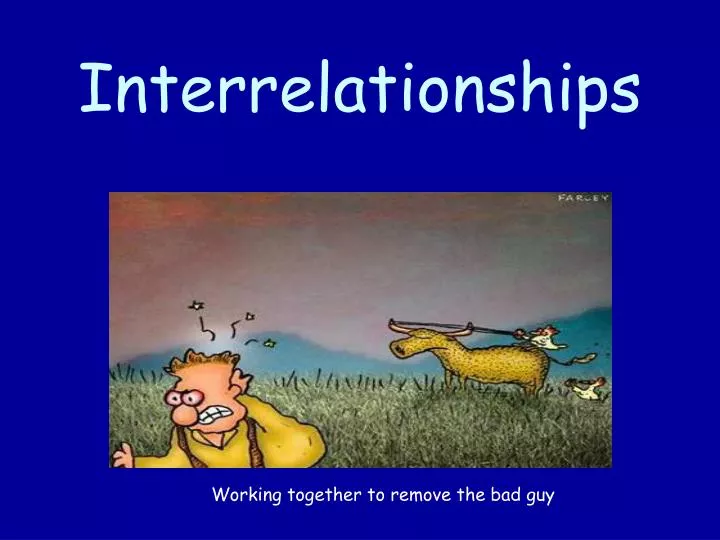 interrelationships