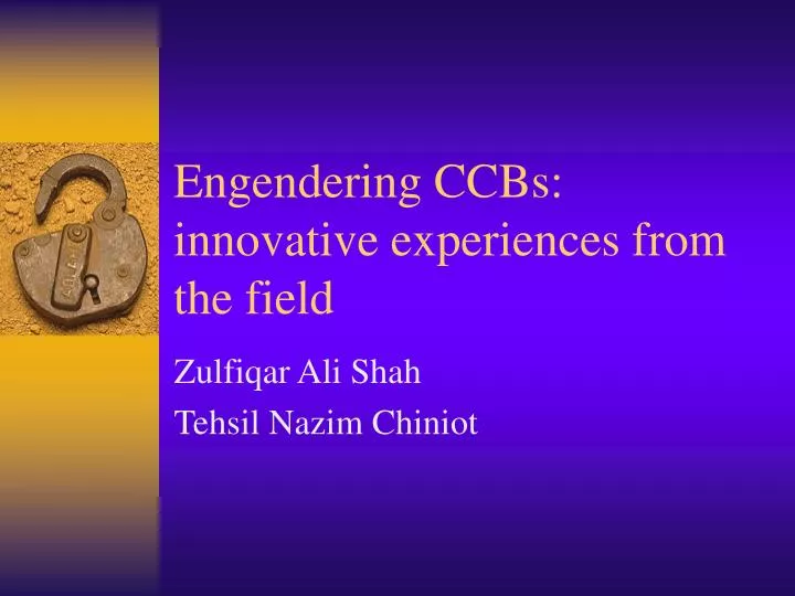 engendering ccbs innovative experiences from the field