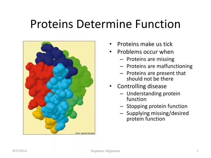 proteins determine function
