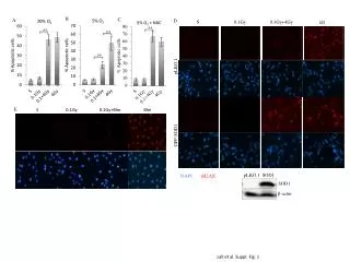 Lall et al. Suppl. Fig. 1