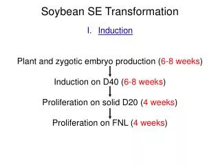 Soybean SE Transformation Induction Plant and zygotic embryo production ( 6-8 weeks )