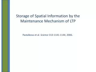 Storage of Spatial Information by the Maintenance Mechanism of LTP