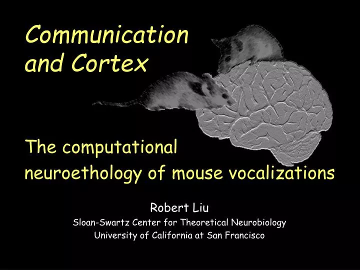 communication and cortex