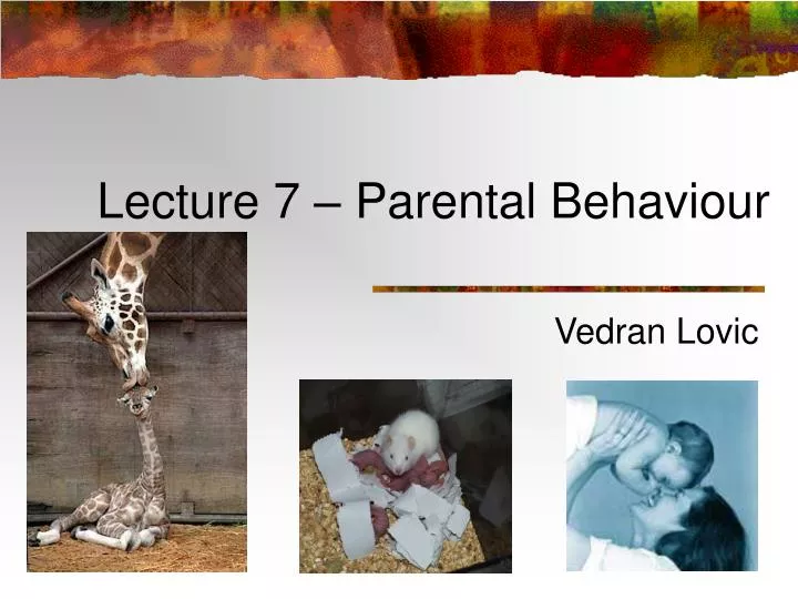 lecture 7 parental behaviour