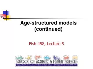 Age-structured models (continued)