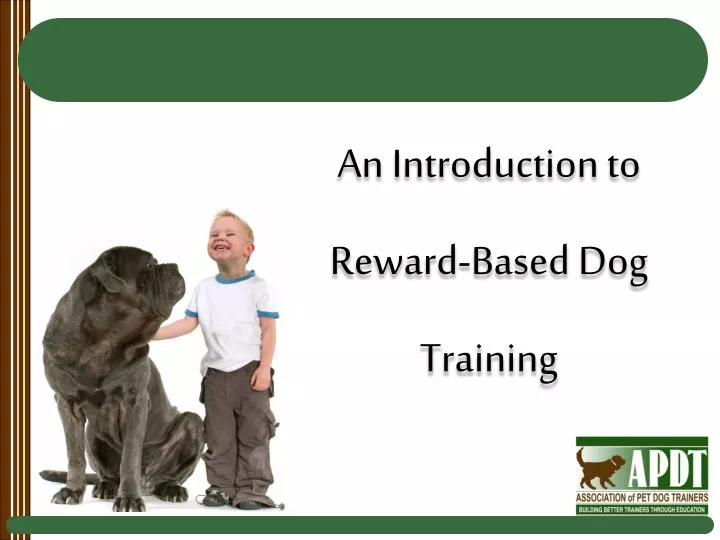 an introduction to reward based dog training