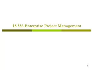 IS 556 Enterprise Project Management