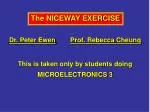 Understanding the NICEWAY Exercise in Microelectronics: A Hands-On Laboratory Approach - slide 1