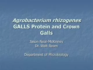 Agrobacterium rhizogenes GALLS Protein and Crown Galls