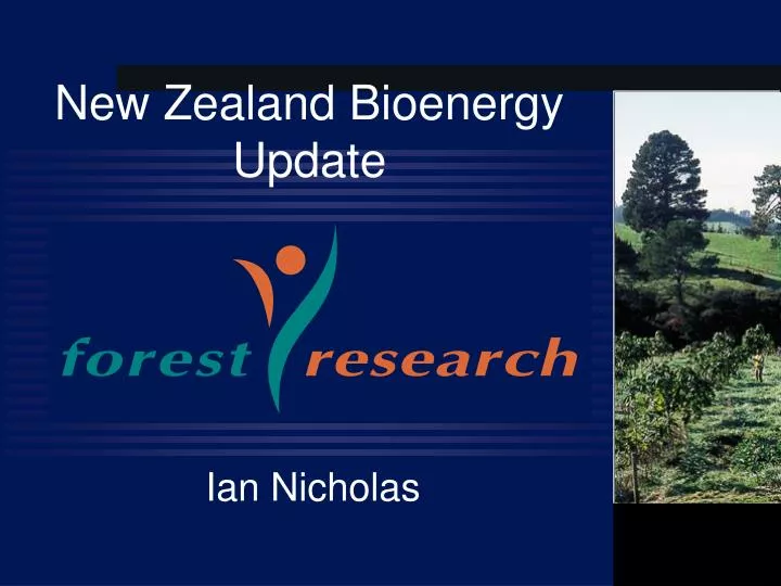 new zealand bioenergy update