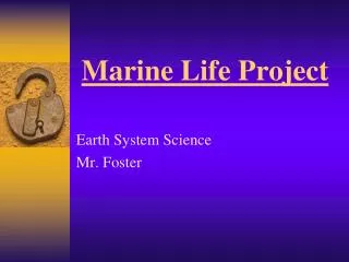 Marine Life Project