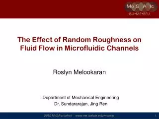 The Effect of Random Roughness on Fluid Flow in Microfluidic Channels
