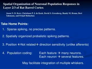 Spatial Organization of Neuronal Population Responses in Layer 2/3 of Rat Barrel Cortex