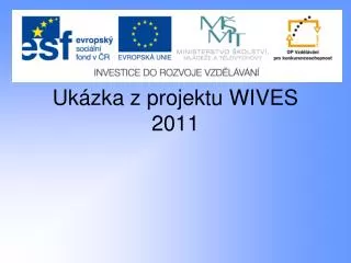 Ukázka z projektu WIVES 2011
