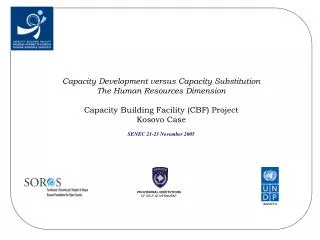 Capacity Development versus Capacity Substitution The Human Resources Dimension