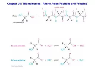 Chapter 26: Biomolecules: Amino Acids Peptides and Proteins