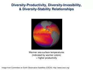 Diversity-Productivity, Diversity-Invasibility, &amp; Diversity-Stability Relationships