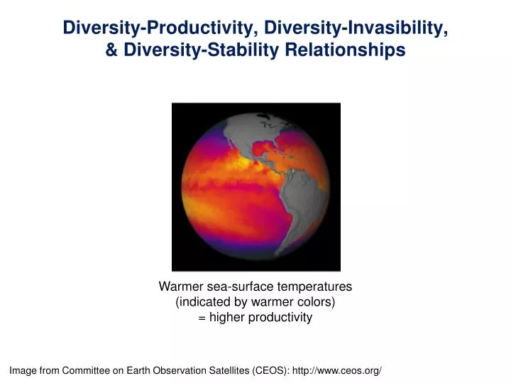 diversity productivity diversity invasibility diversity stability relationships