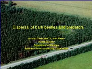 Dispersal of bark beetles and predators