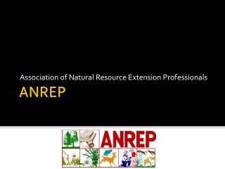 ANREP