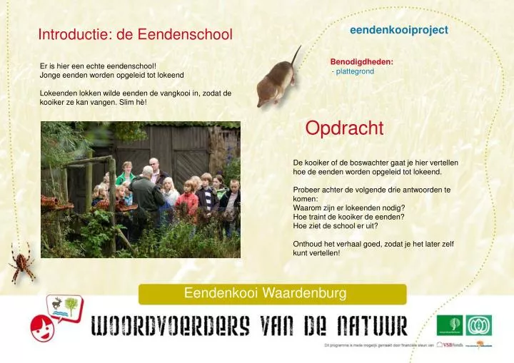 eendenkooiproject