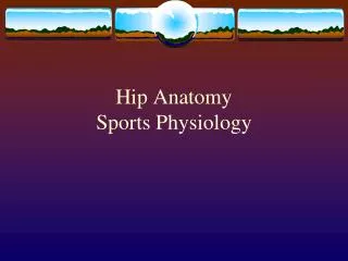 Hip Anatomy Sports Physiology