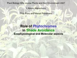 Role of Phytochromes in Shade Avoidance Ecophysiological and Molecular aspects