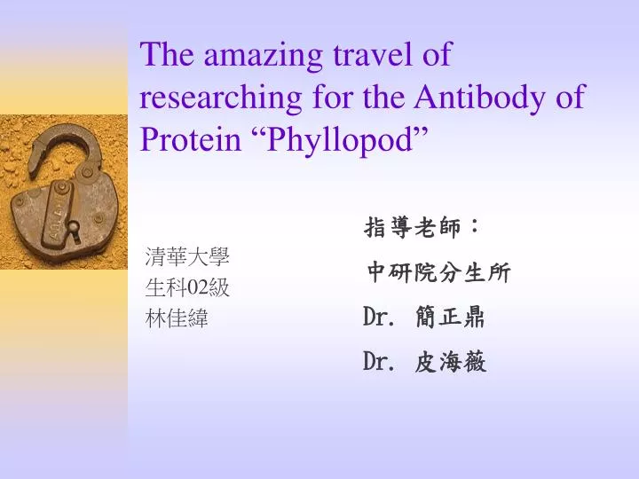 the amazing travel of researching for the antibody of protein phyllopod