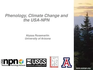Alyssa Rosemartin University of Arizona