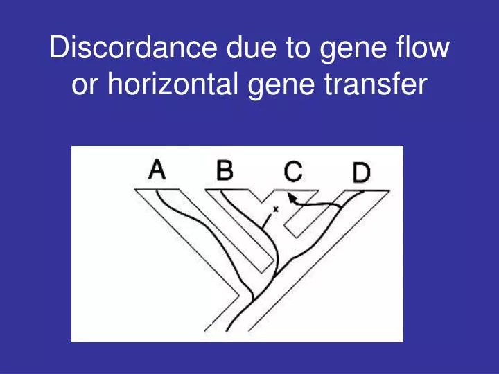 discordance due to gene flow or horizontal gene transfer