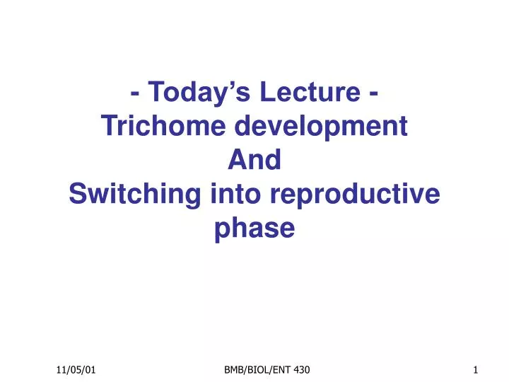 today s lecture trichome development and switching into reproductive phase