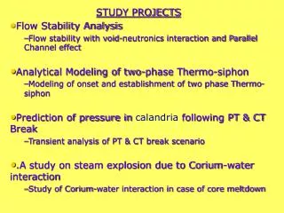 STUDY PROJECTS Flow Stability Analysis