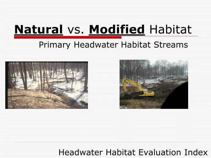 natural vs modified habitat primary headwater habitat streams