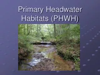 Primary Headwater Habitats (PHWH)