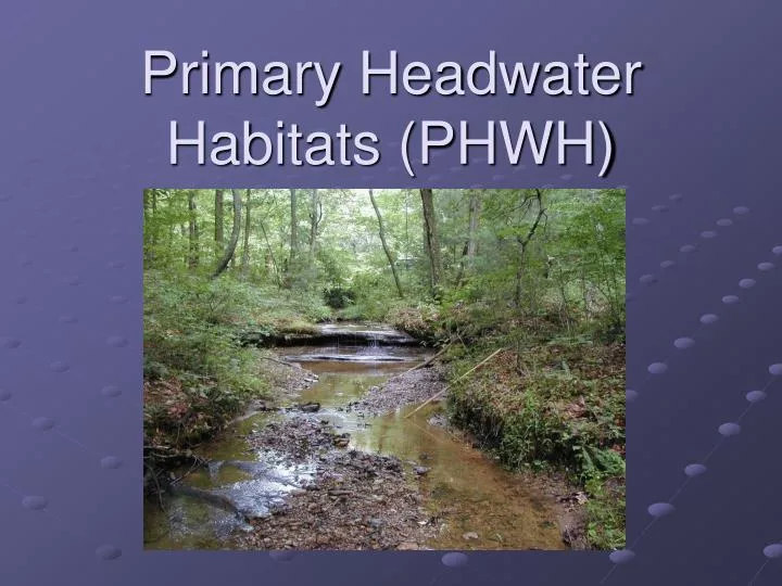 primary headwater habitats phwh