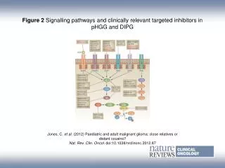 Figure 2 Signalling pathways and clinically relevant targeted inhibitors in pHGG and DIPG