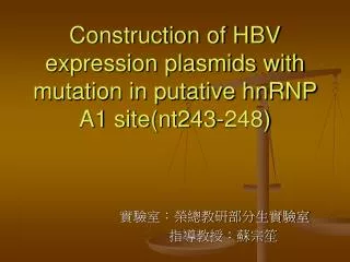 Construction of HBV expression plasmids with mutation in putative hnRNP A1 site(nt243-248)