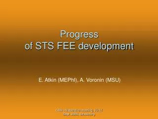 Progress of STS FEE development