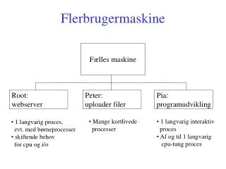 flerbrugermaskine