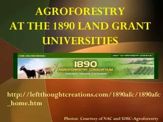 AGROFORESTRY AT THE 1890 LAND GRANT UNIVERSITIES