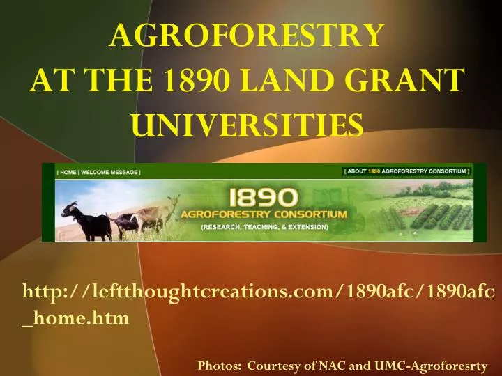 agroforestry at the 1890 land grant universities