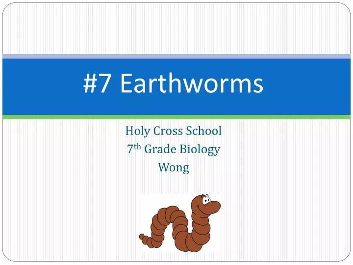 7 earthworms