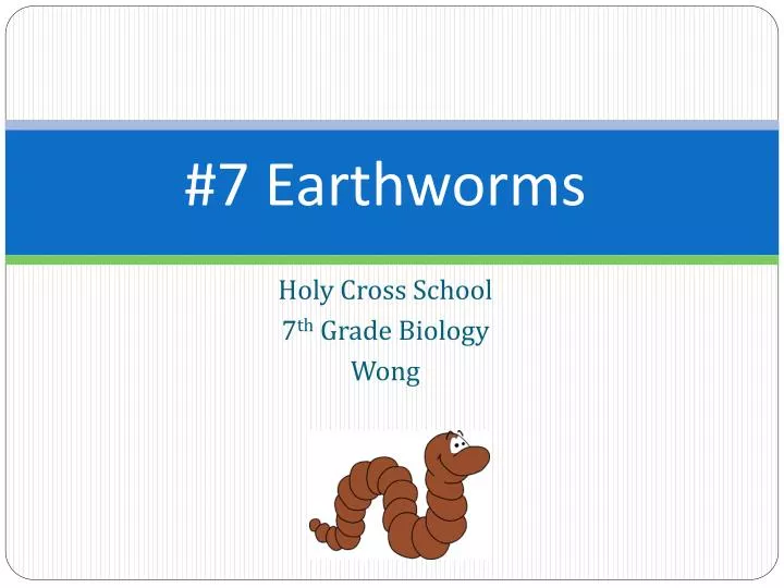 PPT - #7 Earthworms PowerPoint Presentation, Free Download - ID:4649331